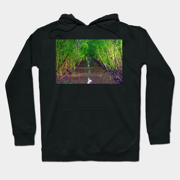 Waterway in the Tra Su Cajuput Forest, Vietnam Hoodie by BrianPShaw